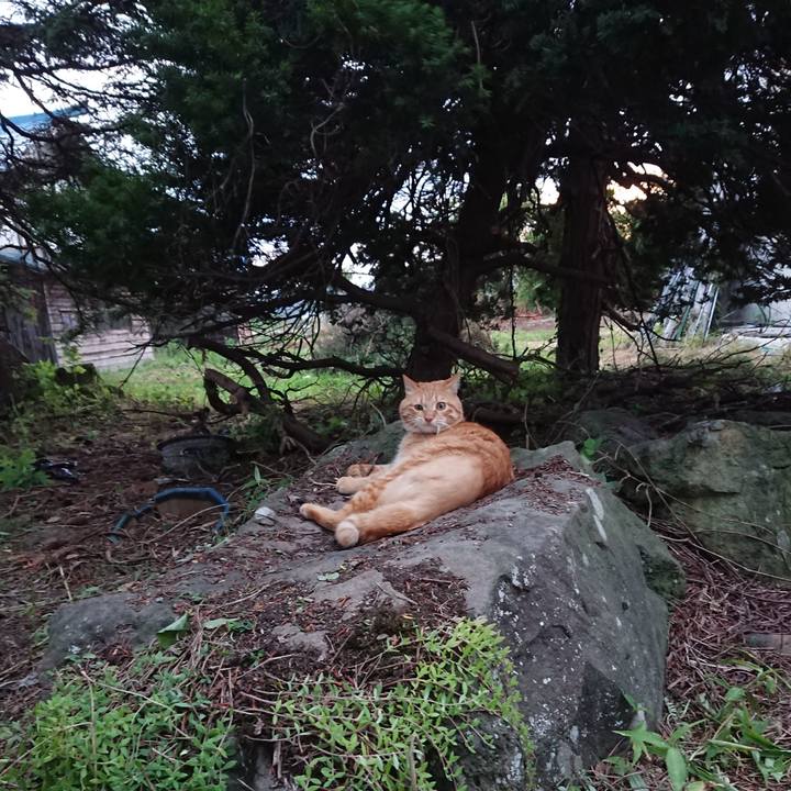 3755e283 dadf 4042 9827 b196537fcd11 1657792402232