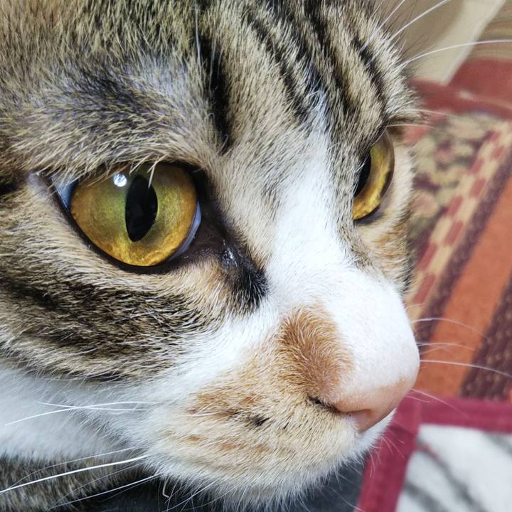 3755fda7 5b7f 4fdb 8cc8 db26ff1da970 1649294792633