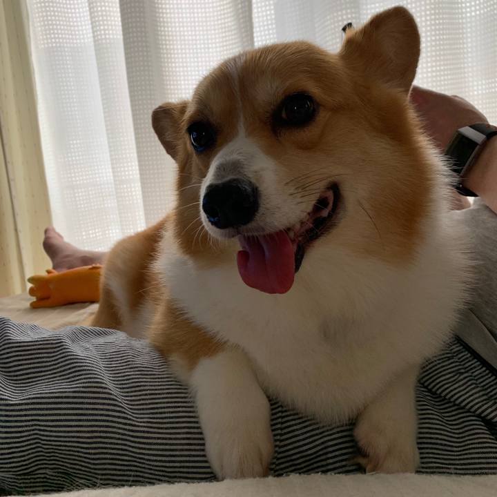 3756543e a47e 4c33 9b42 1492a84a1853 1562989002789