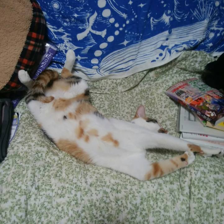 3756748d a4e6 4b3b 924f 4b9dfec821ea 1534848294635