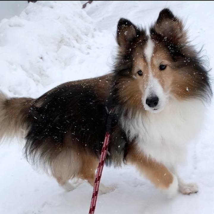 3756a0f5 0037 409d bd88 8ee66951e337 1576317816162