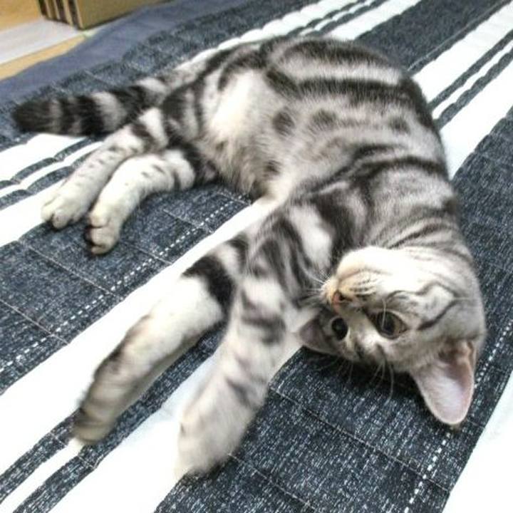 3756bea3 85bd 4ebc b5ad f6563dcac089 1541898385458