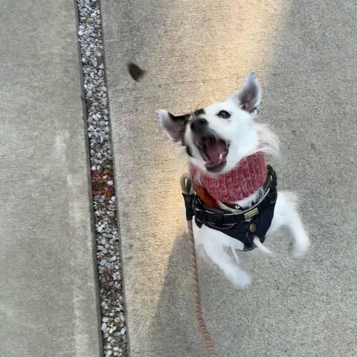 3756f93b f29c 41d4 a5c2 3970d10d15d1 1768867645505