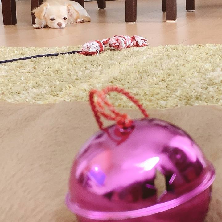 37572810 09ca 42c3 9e33 4c9a2d413829 1596113679468