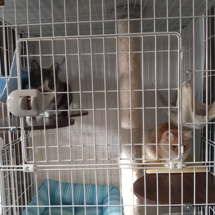 37572c2c 2847 4651 bf59 c9d249567230 1620079228816