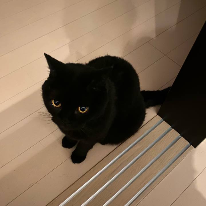 3757455a 5ca0 4eba ac40 4f51e8467055 1752152456747