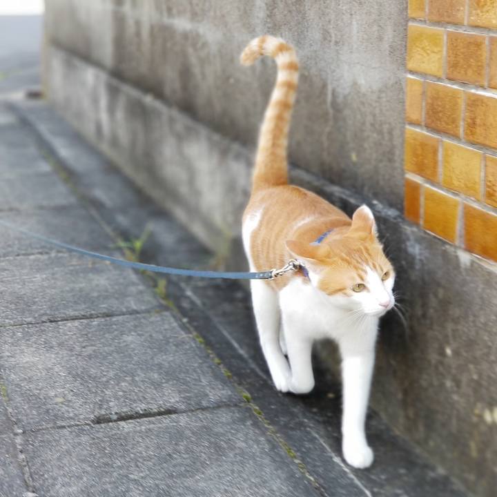 37576709 abe9 4ae5 a37b 9a79d276c0fd 1538807628664