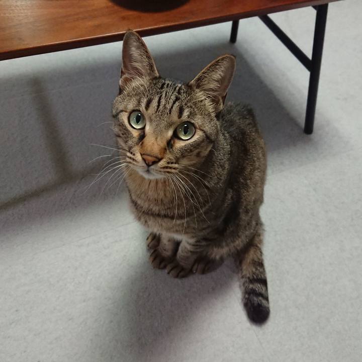 375778c2 bb9d 4772 b033 2f3eee1c5b73 1609236312669