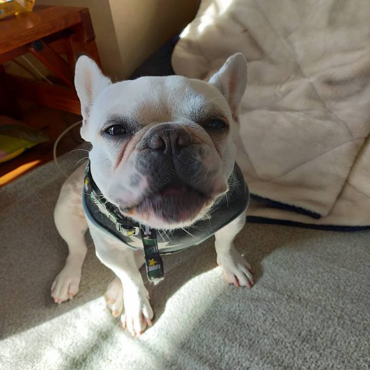 37577d2d a1b2 46ab 9872 620dedf3533f 1636674846066