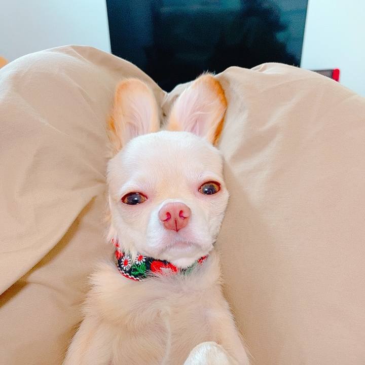 3757870d 32bd 46b2 be45 0742451de857 1630109407672