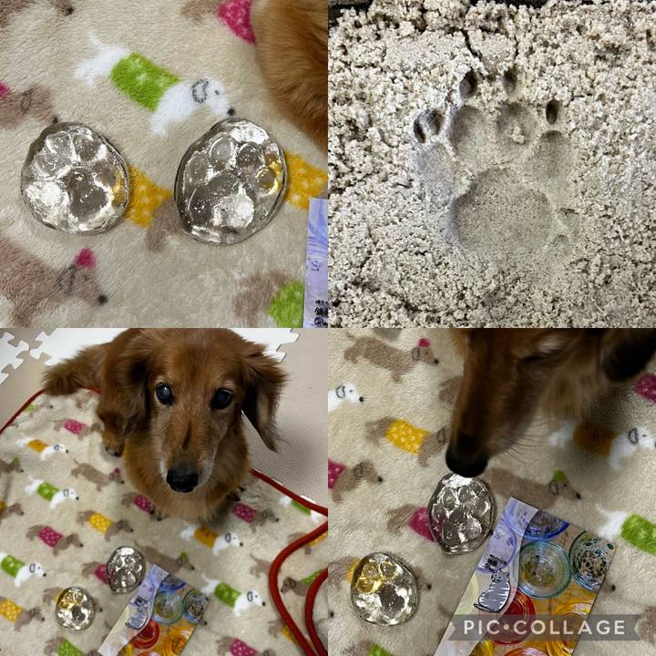 3757aac2 d90f 4044 9c36 4025694c5455 1665060425591