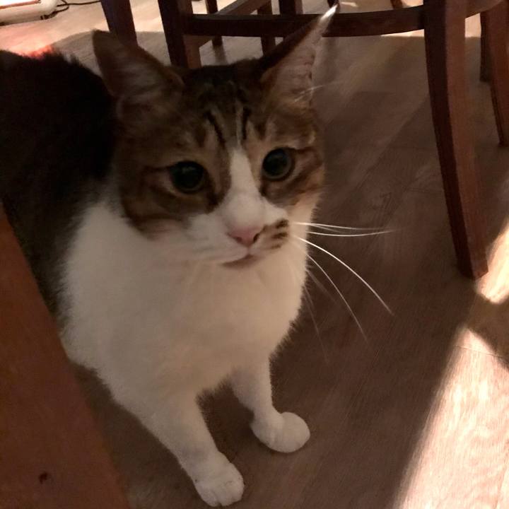 3757bb06 78a6 4296 89a0 afd894df7ec7 1623174876350