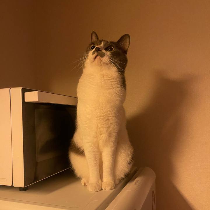 3757cdaa 86e5 4013 90d1 d905281b1575 1723467590939