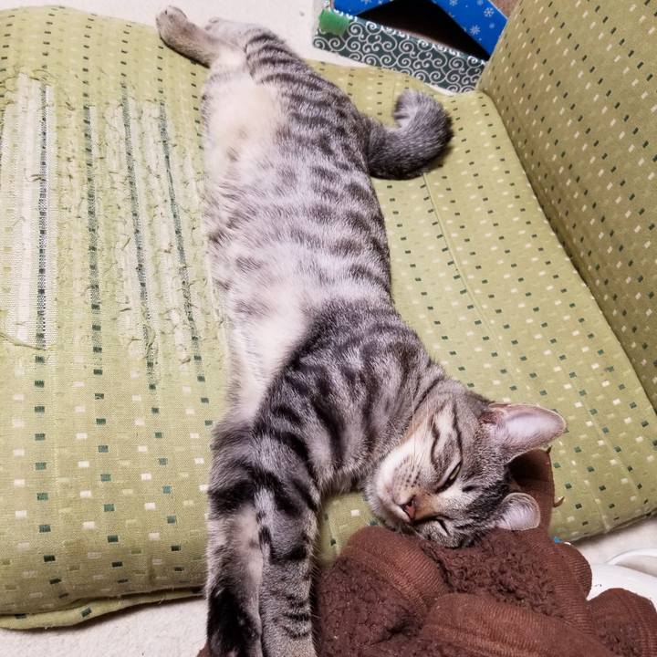 3757dad3 db6a 40c0 980f 394fa0a01881 1670310802523