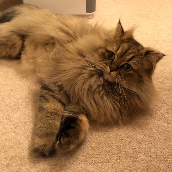 375813f9 f1e5 4cdb 8924 6ea3bf14fb11 1519393364195