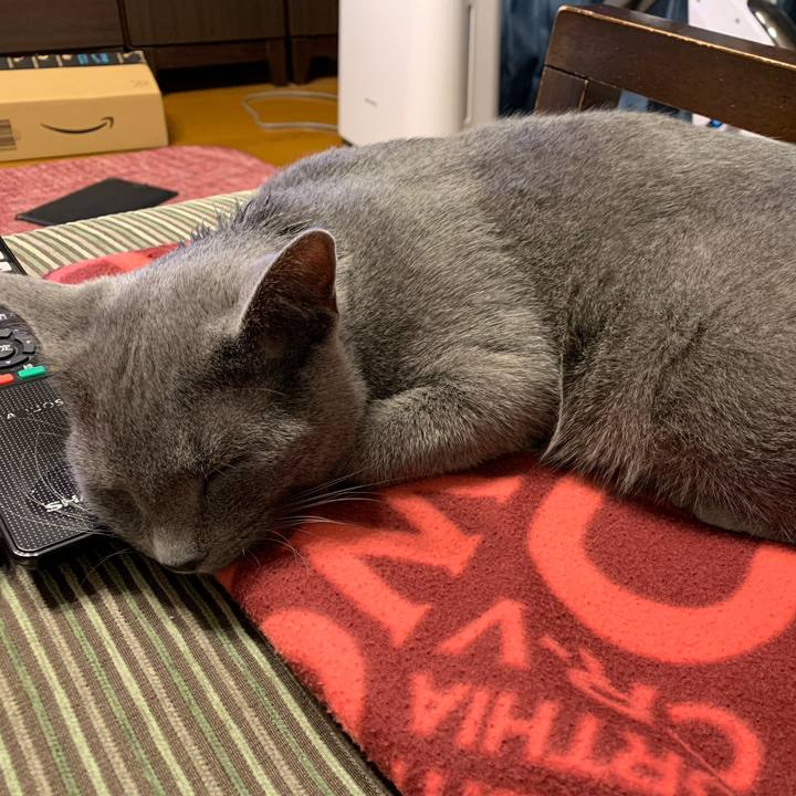 3758174d 0caf 4204 b75b ac43731cdf30 1578646334443