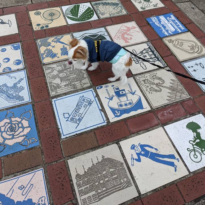 37582893 ccfb 48dd 856d 03b6ebed7497 1648279694218