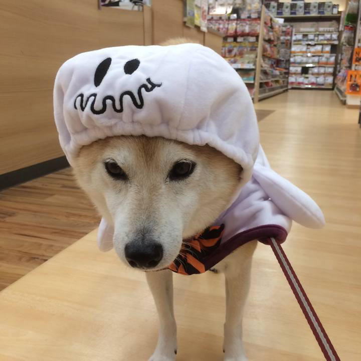 375836fb adf5 4bf5 b7c9 1d0af2530109 1540825489136