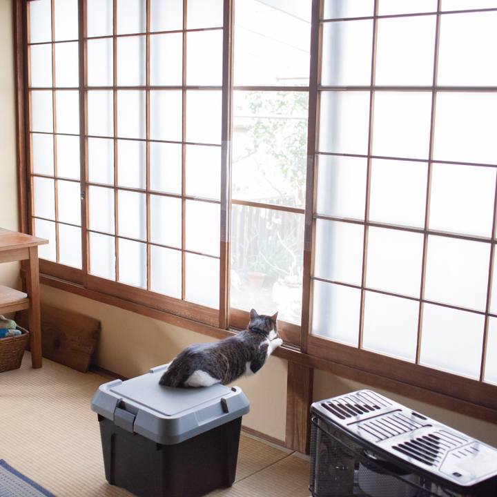 37584300 b198 48a0 9bfd f3d54a9bbaec 1549511430670