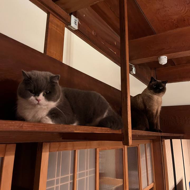 375854c5 7615 4bf7 b1cd 0702d221d025 1736330875409