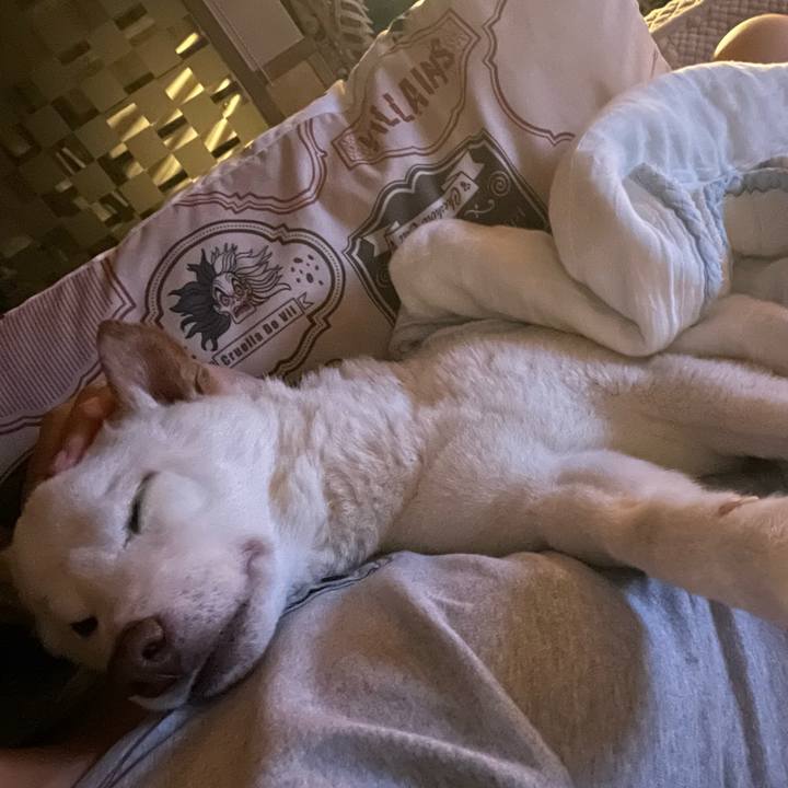 37586ab3 cee3 4cee afc2 8ff7c8082d6d 1657550515856