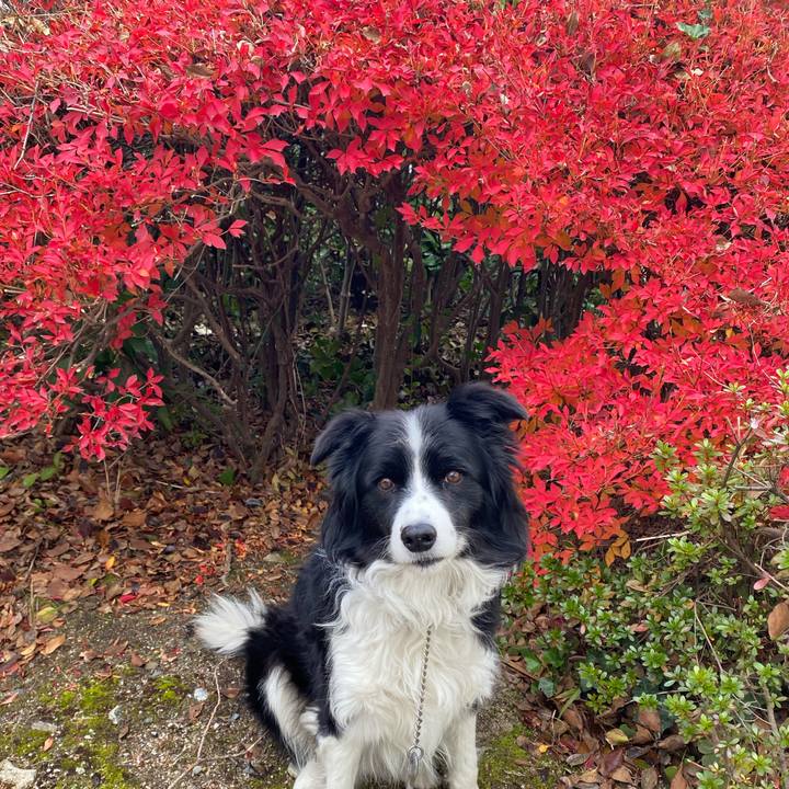 375896c2 1f4c 4709 ac55 c641fb0d3fed 1638578694531