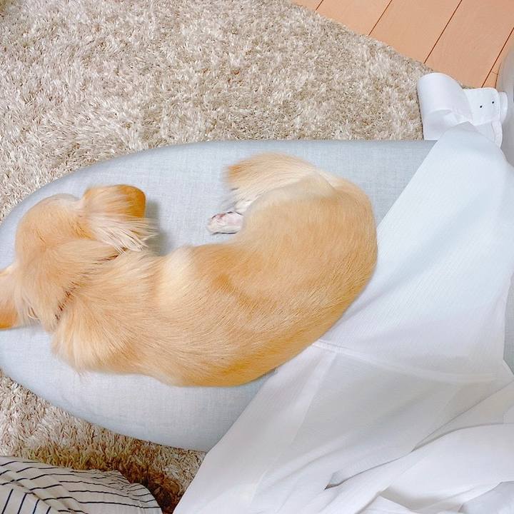 3758baf2 cdd5 4fac 823b f852aec4503f 1633082157653