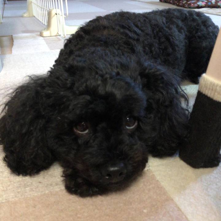 3758f420 b7de 4a3a 81fd 465f9ef9127e 1534762232092