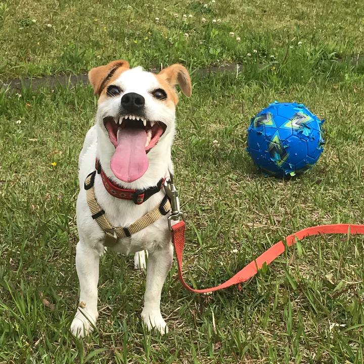 37590d56 ed36 4a2c 83b0 df1b8fbe9d40 1588661244530