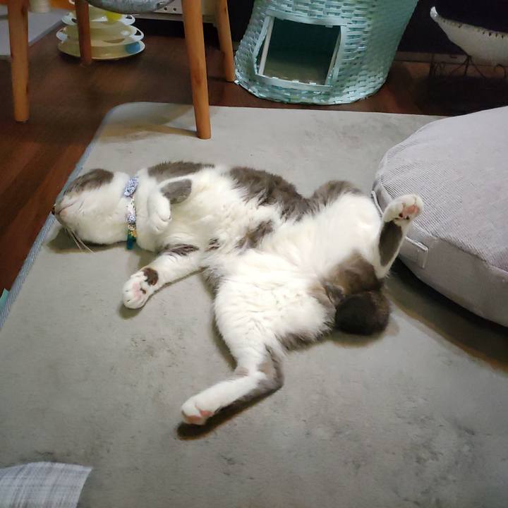 375929ab d560 43d3 80d8 9478c9ce02d7 1724672805595