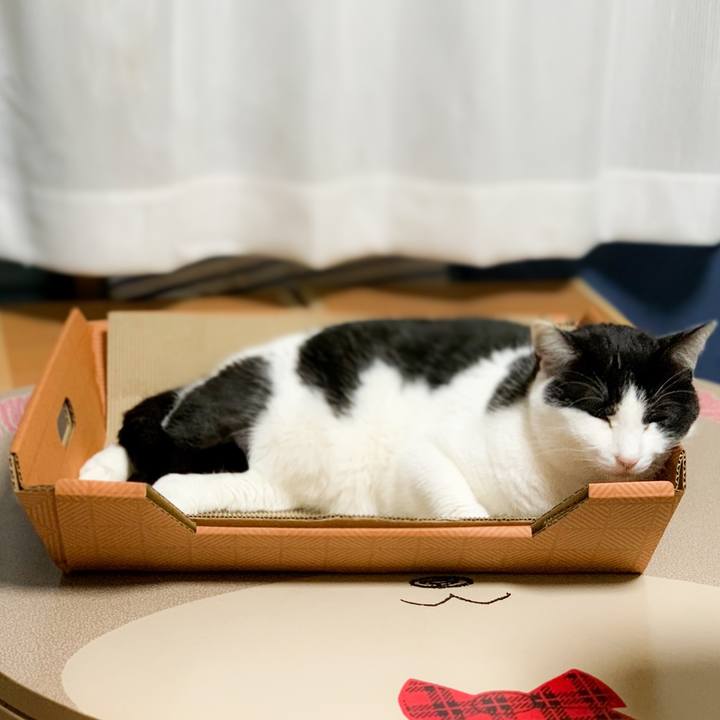 37595818 da74 4c7b 8a21 6ea160d564c8 1582505151451