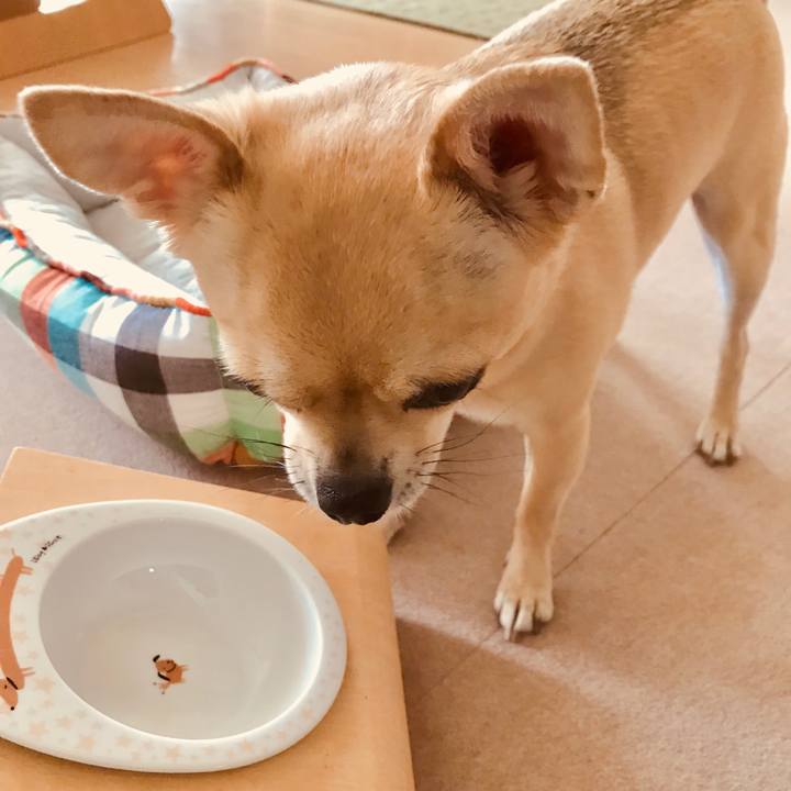 37595fee 2b3b 40e2 b787 af23d7f03469 1528878909108