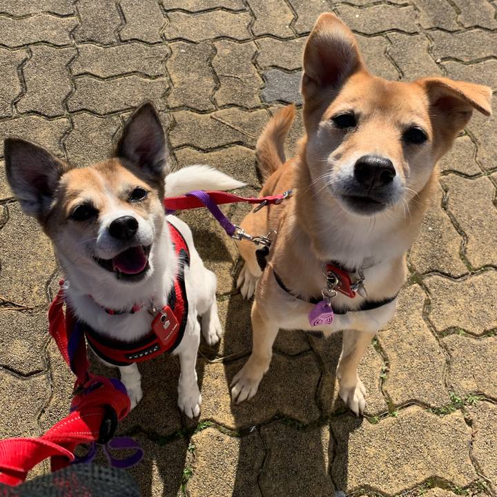 3759a703 a26b 4cd1 bd5e aa6b313c487c 1577600174724