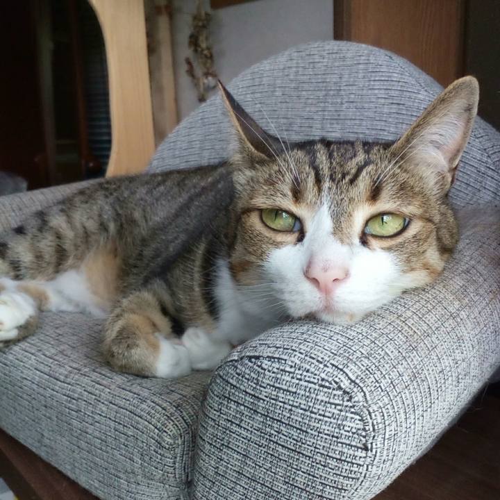 3759d0fe 45a3 4996 891c 842a54c65f8d 1561965624100