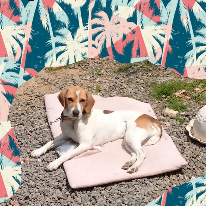 3759d264 4568 4acd a82e 218aa43b19f7 1587879598424