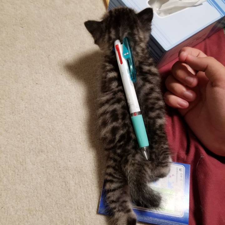 3759d3e0 e9d4 4b36 9e11 38c3e52d9ad1 1660146170714