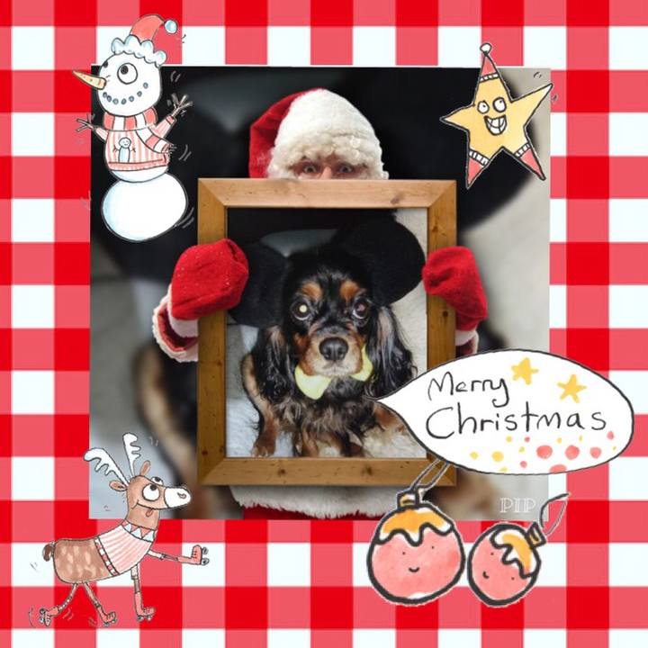 375a0773 1117 43eb 8751 03223e4c9e56 1514105686387