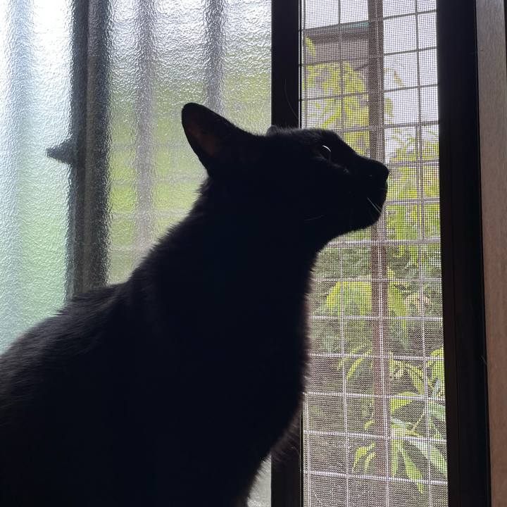 375a0bcb fcc7 46e6 8ff6 1f763809e4e0 1658111070623