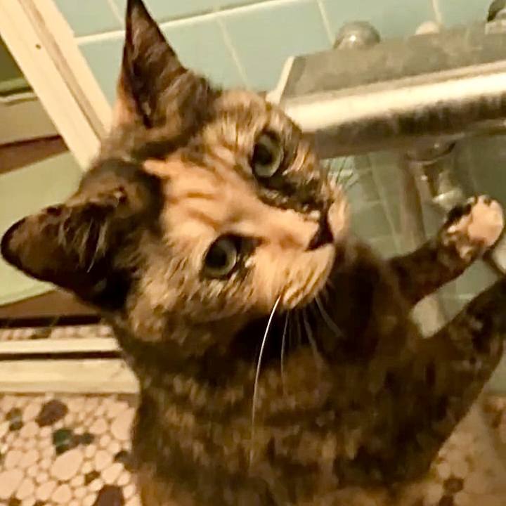 375a21b7 a04e 44cd 8980 d1f8776df619 1731609033665