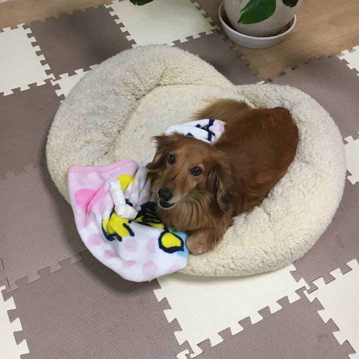 375a36d1 ea54 4c21 a9e7 822dfeee2809 1555079994429