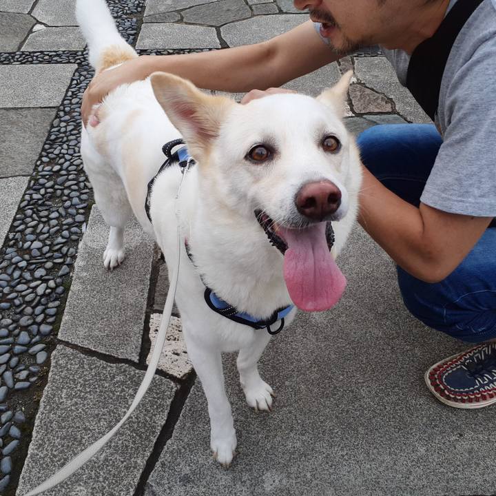 375a3a2e 8584 4df8 a5ee c0e11681c795 1688392753332