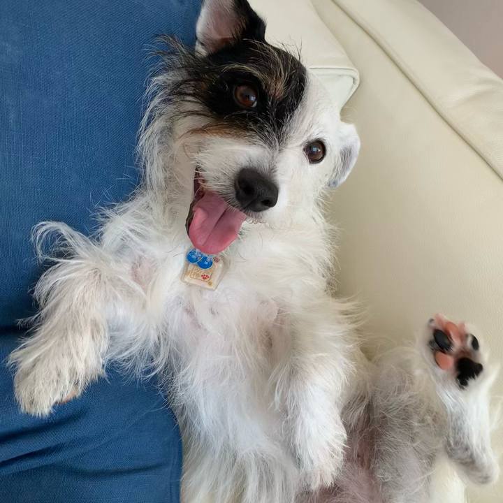 375a4cfd 4691 4b7b 867b 796c5de00579 1633323785888