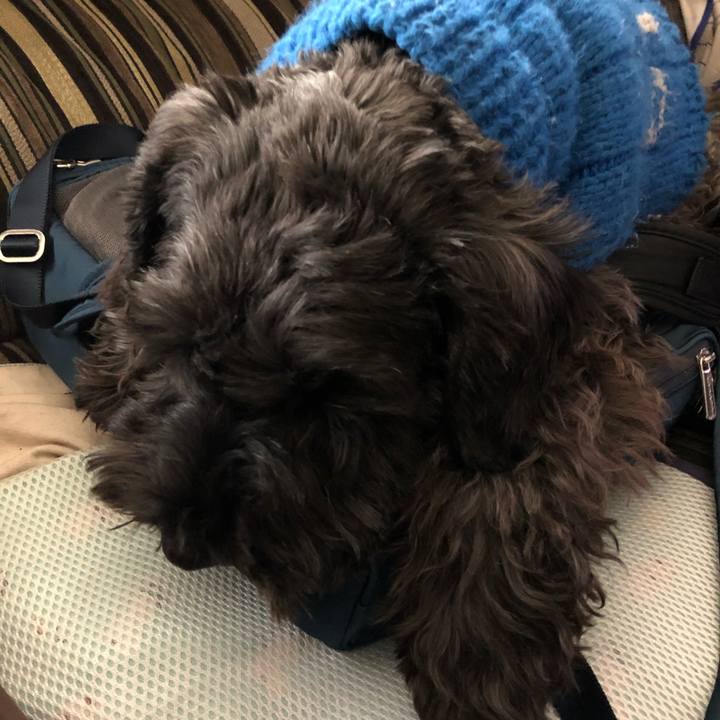 375b3d6d e808 4cc4 975d 8f29df125ef4 1576127031950