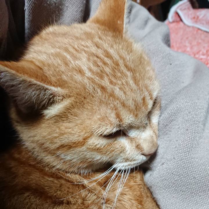 375b4fce 63f7 494e ab4e ef460f46c423 1580241157091