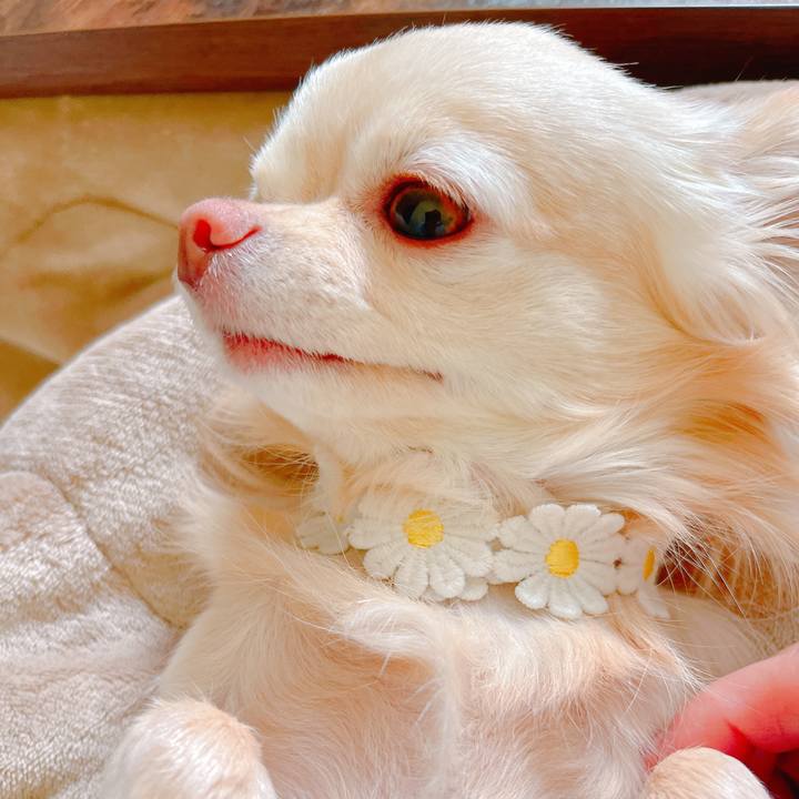 375b57a0 f3eb 4b66 8f1c 8e63bed068d9 1649328773687