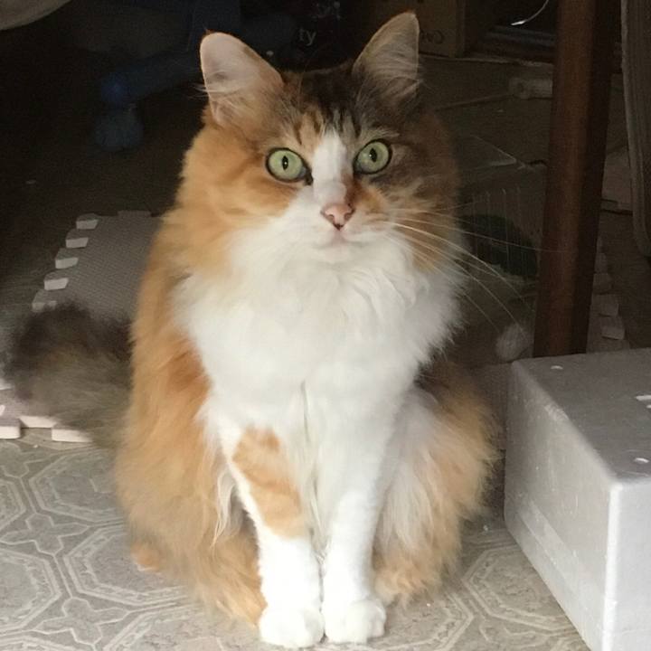 375ba539 080f 47ca b7b1 41c55a82258d 1600329605115