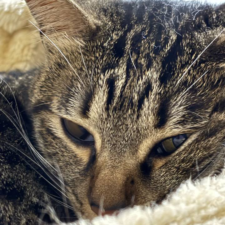 375ba7cf 0c88 49ed b031 4b8e48183d07 1770432595331