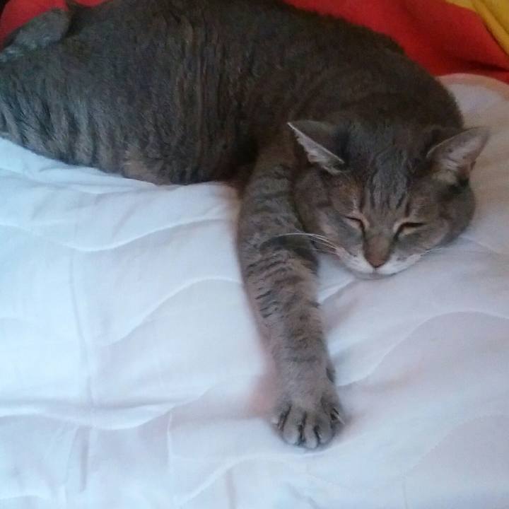 375bffd0 d3d1 47e4 9883 864a60585436 1537580853732