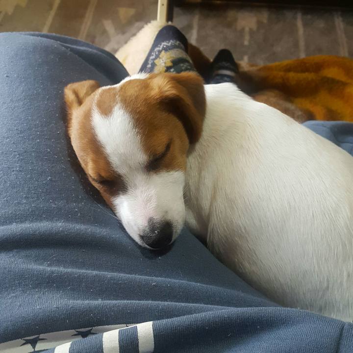 375c0093 8382 4c64 9bde 486d5129c374 1551251692062