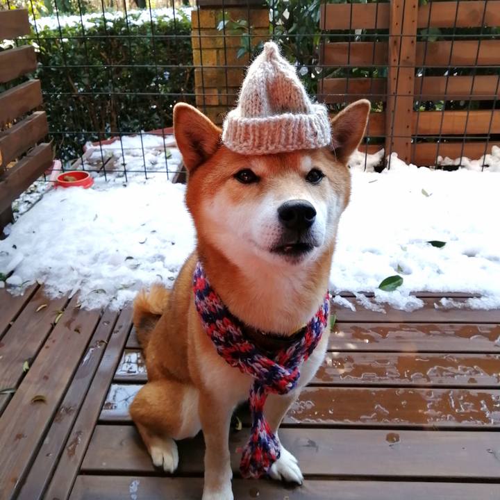 375c04f3 6906 4253 818b be4e46cd7c43 1644549263091